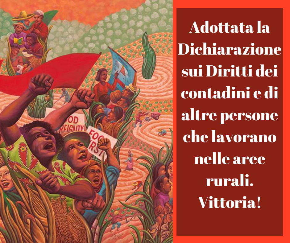 Comunicato Stampa ARI: adottata la Dichiarazione sui Diritti dei contadini e di altre persone che lavorano nelle aree rurali da parte del Comitato III dell'Assemblea generale delle Nazioni Unite