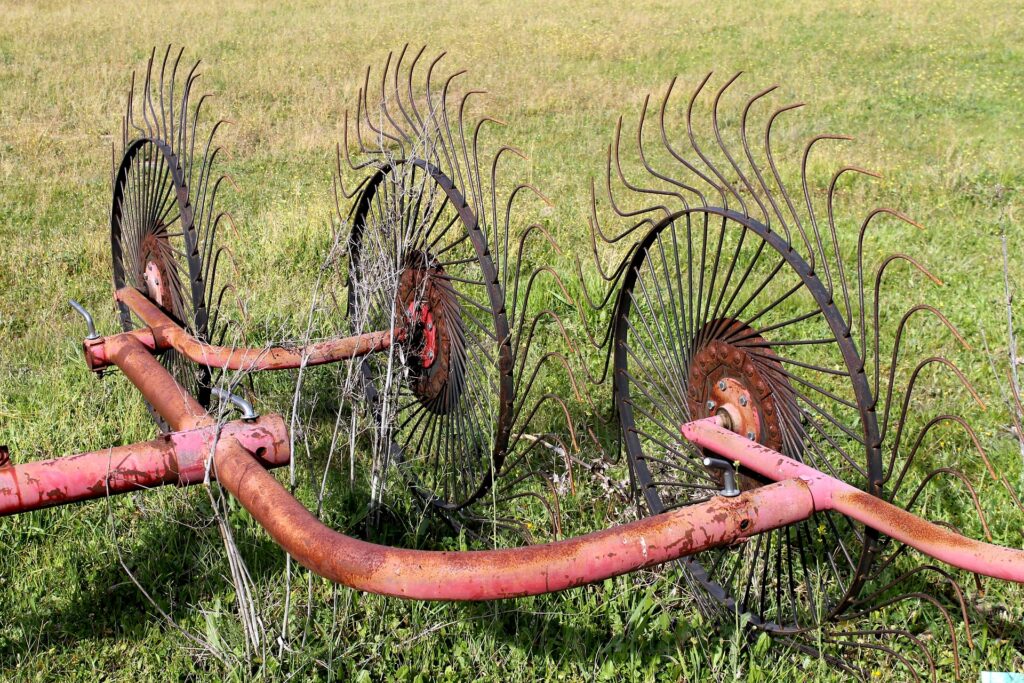 Comunicato Stampa ECVC: Un passo in più verso l'adozione della Dichiarazione sui diritti dei contadini e degli altri lavoratori rurali