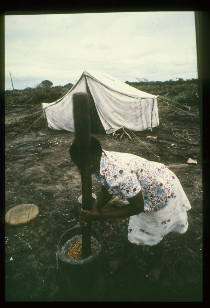 Contributo delle organizzazioni francesi sul tema dei "nuovi" OGM