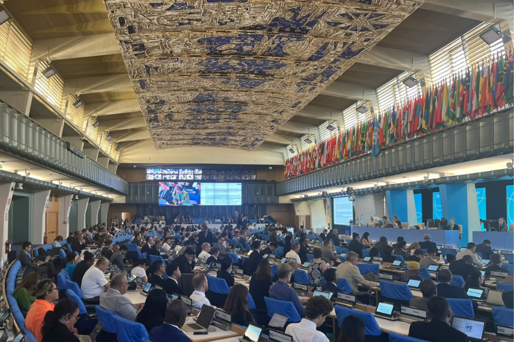 L'assemblea plenaria del COFI37