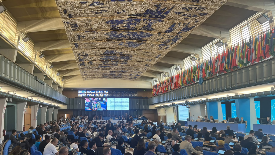 L'assemblea plenaria del COFI37